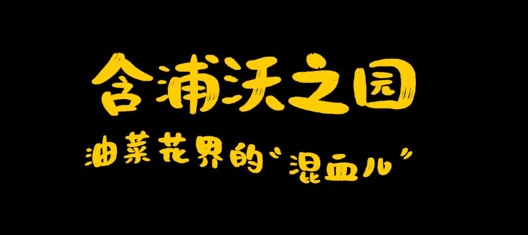 春日文案小紅書(shū)配圖